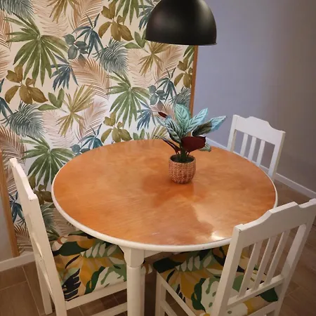 公寓 Oasis Del Puerto Spacious Premium 拉克鲁斯